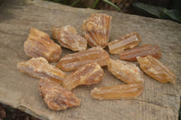 Natural Honey Aragonite Etched & Cobbed Pieces  x 12 From Namibia