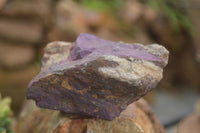 Natural Selected Purpurite Cobbed Specimens  x 6 From Namibia - TopRock