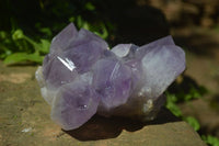 Natural Jacaranda Amethyst Clusters x 2 From Mumbwa, Zambia - TopRock