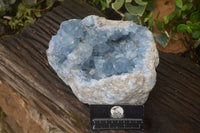 Natural Large Blue Celestite Geode Specimen  x 1 From Sakoany, Madagascar