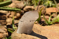 Natural Smokey Quartz Crystal With Natural Sides  x 2 From Mt. Mulanje, Malawi - TopRock