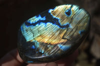 Polished Labradorite Standing Free Forms  x 6 From Madagascar