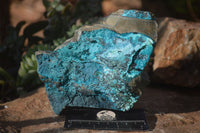 Natural Silica Chrysocolla On Dolomite Matrix Specimens x 2 From Congo