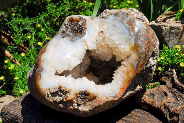 Polished Extra Large Crystal Cantered Agate Geode x 1 From Madagascar