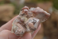 Natural Red Hematite Phantom Quartz Clusters  x 12 From Karoi, Zimbabwe - TopRock