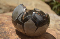 Polished Septaria Dragons Egg x 1 From Mahajanga, Madagascar - TopRock