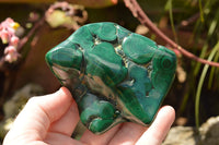 Polished Malachite Free Forms With Stunning Flower & Banding Patterns x 6 From Congo - TopRock