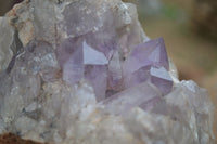 Natural Jacaranda Amethyst Cluster x 1 From Mumbwa, Zambia - TopRock