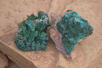 Natural Classic Emerald Dioptase Crystal Specimens  x 2 From Likasi, Congo