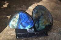 Polished Labradorite Standing Free Forms  x 6 From Madagascar