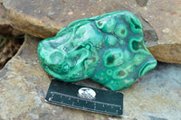 Polished Malachite Free Forms With Stunning Flower & Banding Patterns x 2 From Congo - TopRock