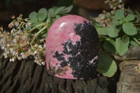 Polished Pink Rhodonite Standing Free Forms x 3 From Madagascar