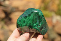 Polished Malachite Free Forms With Stunning Flower & Banding Patterns x 6 From Congo - TopRock