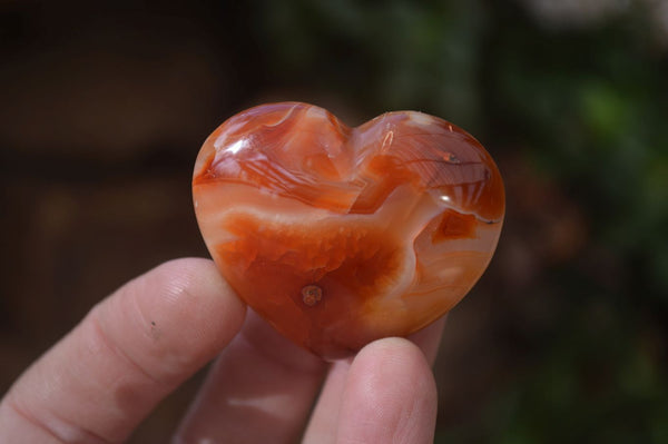 Polished Carnelian Agate Hearts  x 12 From Madagascar