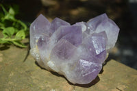 Natural Jacaranda Amethyst Clusters x 2 From Mumbwa, Zambia - TopRock