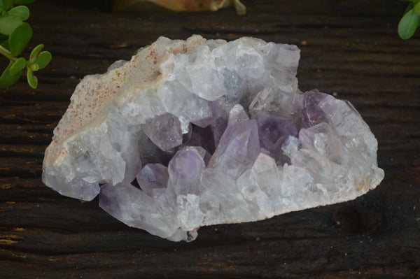 Natural Jacaranda Amethyst Cluster  x 1 From Zambia - Toprock Gemstones and Minerals 