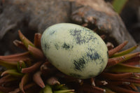 Polished Leopard stone Eggs x 12 From Zimbabwe - TopRock