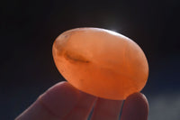 Polished Orange Twist Calcite Palm Stones  x 14 From Madagascar - Toprock Gemstones and Minerals 