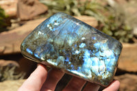 Polished Labradorite Standing Free Forms With Intense Blue & Gold Flash x 2 From Sakoany, Madagascar - TopRock