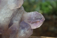 Natural Jacaranda Amethyst Cluster x 1 From Mumbwa, Zambia - TopRock