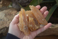 Natural Honey Aragonite Etched & Cobbed Pieces  x 12 From Namibia