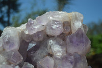 Natural Jacaranda Amethyst Cluster x 1 From Mumbwa, Zambia - TopRock