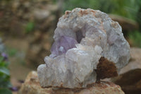 Natural Jacaranda Amethyst Cluster x 1 From Mumbwa, Zambia - TopRock