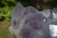 Natural Jacaranda Amethyst Clusters x 2 From Mumbwa, Zambia - TopRock