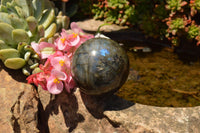 Polished Labradorite Spheres With Nice Subtle Flash x 7 From Tulear, Madagascar - TopRock