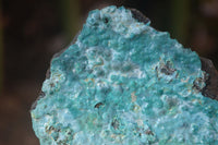 Natural Silica Chrysocolla On Dolomite Matrix Specimens x 2 From Congo