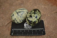 Polished Leopard stone Eggs x 12 From Zimbabwe - TopRock