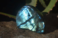 Polished Labradorite Standing Free Forms  x 6 From Madagascar