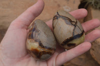 Polished Septaria Dragon's Eggs (Calcite & Aragonite) x 5 From Mahajanga, Madagascar - TopRock