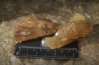 Natural Honey Aragonite Etched & Cobbed Pieces  x 12 From Namibia