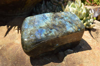 Polished Labradorite Standing Free Forms With Intense Blue & Gold Flash x 2 From Sakoany, Madagascar - TopRock