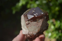 Natural Red Hematoid Quartz Specimens x 3 From Karoi, Zimbabwe