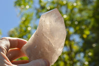 Natural Smokey Quartz Crystal With Natural Sides  x 2 From Mt. Mulanje, Malawi - TopRock