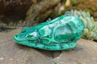 Polished Malachite Free Forms With Stunning Flower & Banding Patterns x 2 From Congo - TopRock