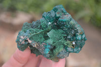 Natural Classic Emerald Dioptase Crystal Specimens  x 2 From Likasi, Congo