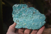 Natural Silica Chrysocolla On Dolomite Matrix Specimens x 2 From Congo