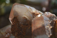 Natural Red Hematoid Quartz Specimen x 1 From Karoi, Zimbabwe