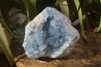 Natural Large Blue Celestite Geode Specimen  x 1 From Sakoany, Madagascar