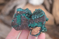 Natural Classic Emerald Dioptase Crystal Specimens  x 2 From Likasi, Congo