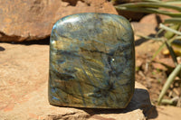 Polished Labradorite Standing Free Forms With Intense Blue & Gold Flash x 2 From Sakoany, Madagascar - TopRock