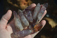 Natural Skeletal Smokey Amethyst Window Quartz Crystals  x 20 From Chiredzi, Zimbabwe - Toprock Gemstones and Minerals 