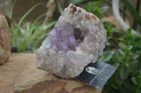 Natural Jacaranda Amethyst Cluster x 1 From Mumbwa, Zambia - TopRock