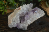 Natural Jacaranda Amethyst Cluster  x 1 From Zambia - Toprock Gemstones and Minerals 