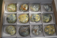 Polished Dendritic Green Opal Palm Stones  x 12 From Madagascar - Toprock Gemstones and Minerals 