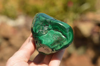 Polished Malachite Free Forms With Stunning Flower & Banding Patterns x 6 From Congo - TopRock