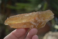 Natural Honey Aragonite Etched & Cobbed Pieces  x 12 From Namibia